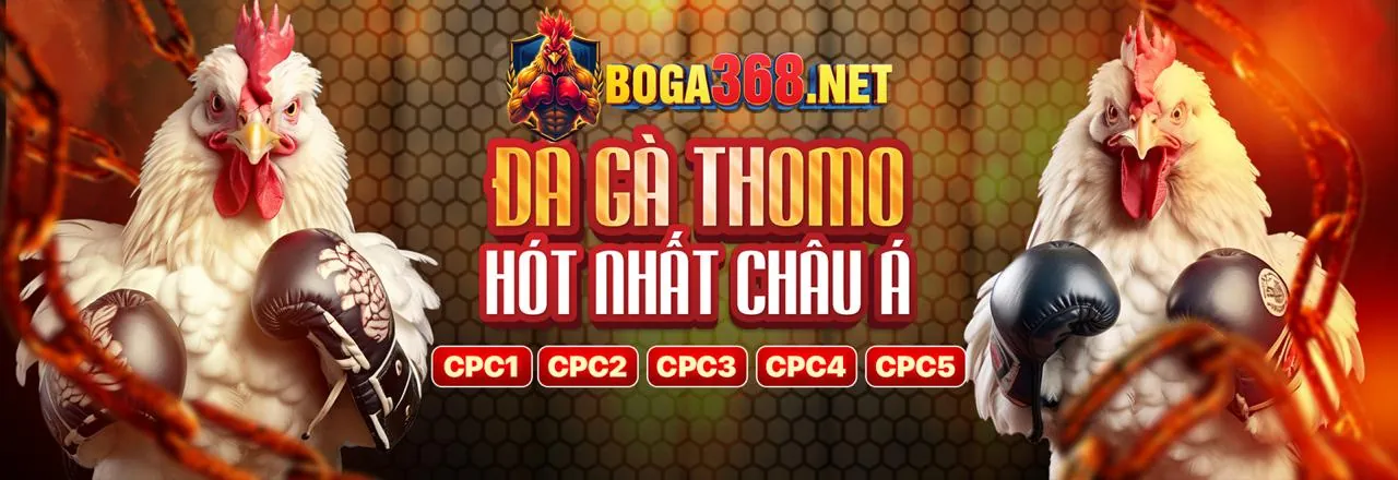 Đá gà trực tuyến kịch tính tại bk888 trang chủ chính thức