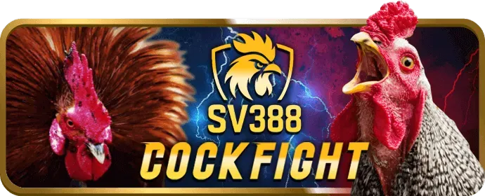Sòng bạc trực tuyến BK888